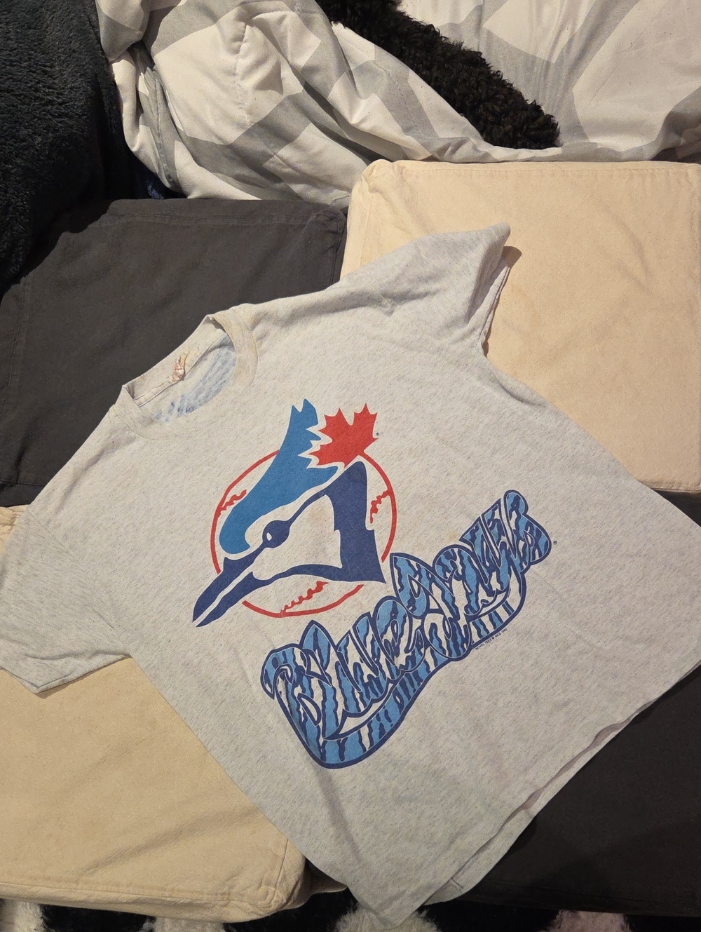 Kids Light Gray Blue Jays Baseball Graphic T-Shirt - Blue & Red